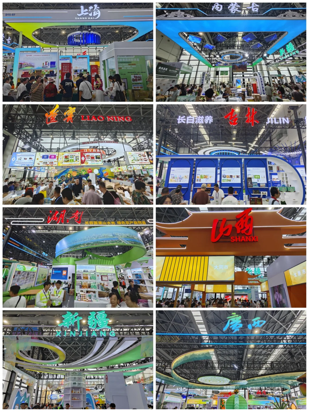 今年的东盟博览会，大家觉得怎么样？