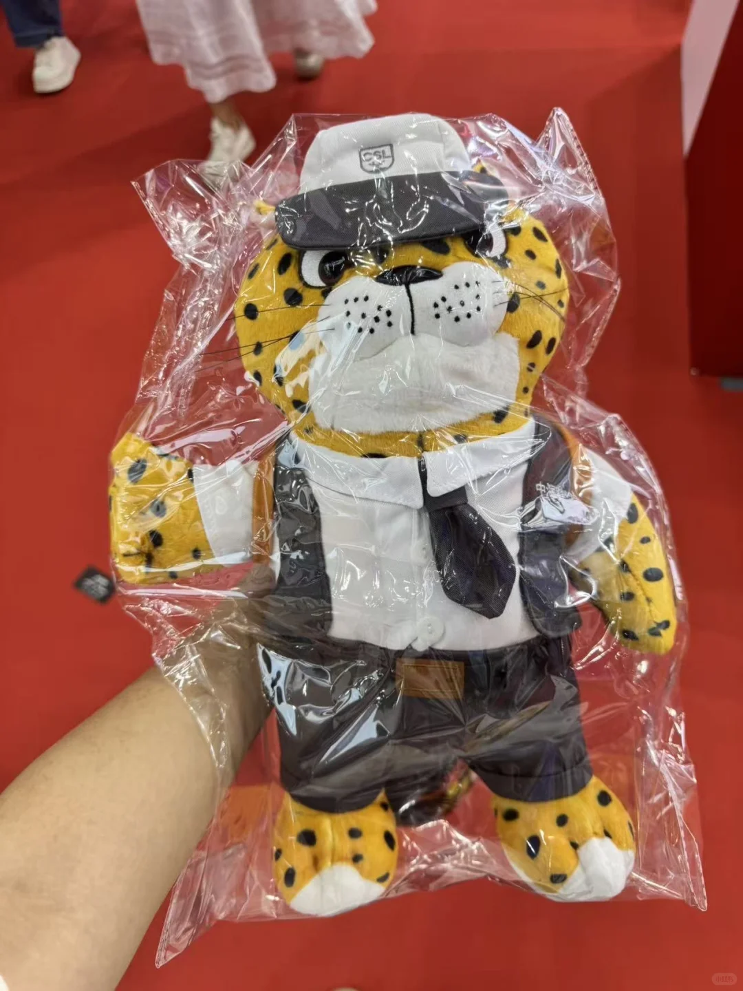 桦加沙来了，深圳物博会还开吗？