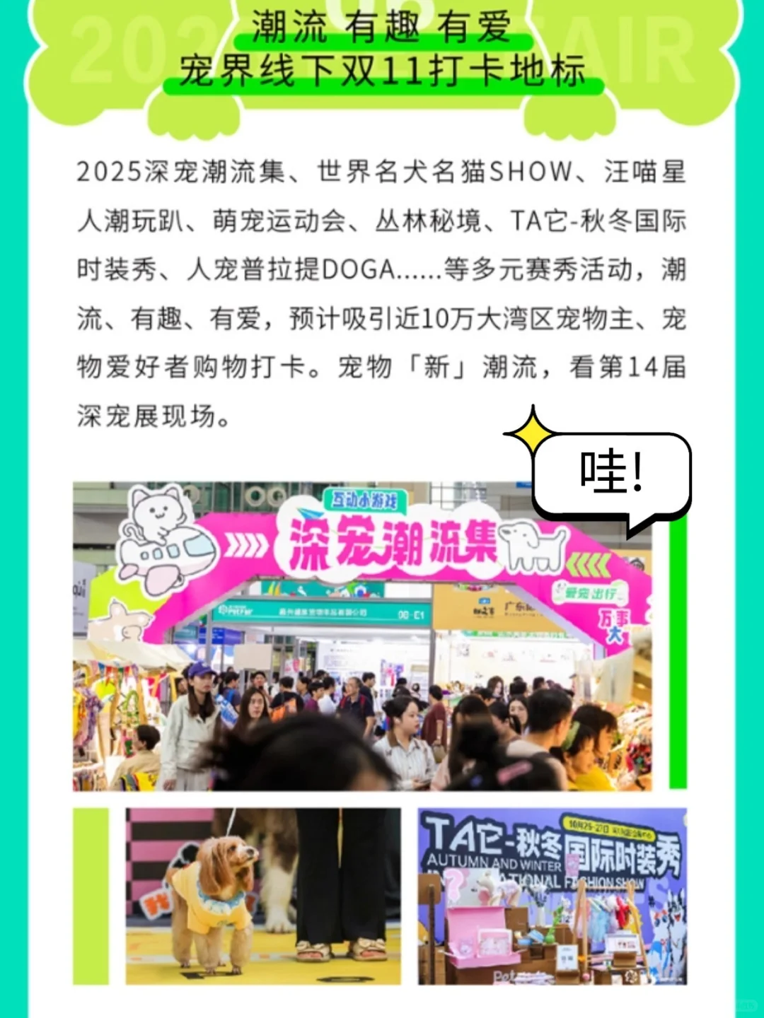 深宠展打卡攻略? 明星毛孩子展位必冲！