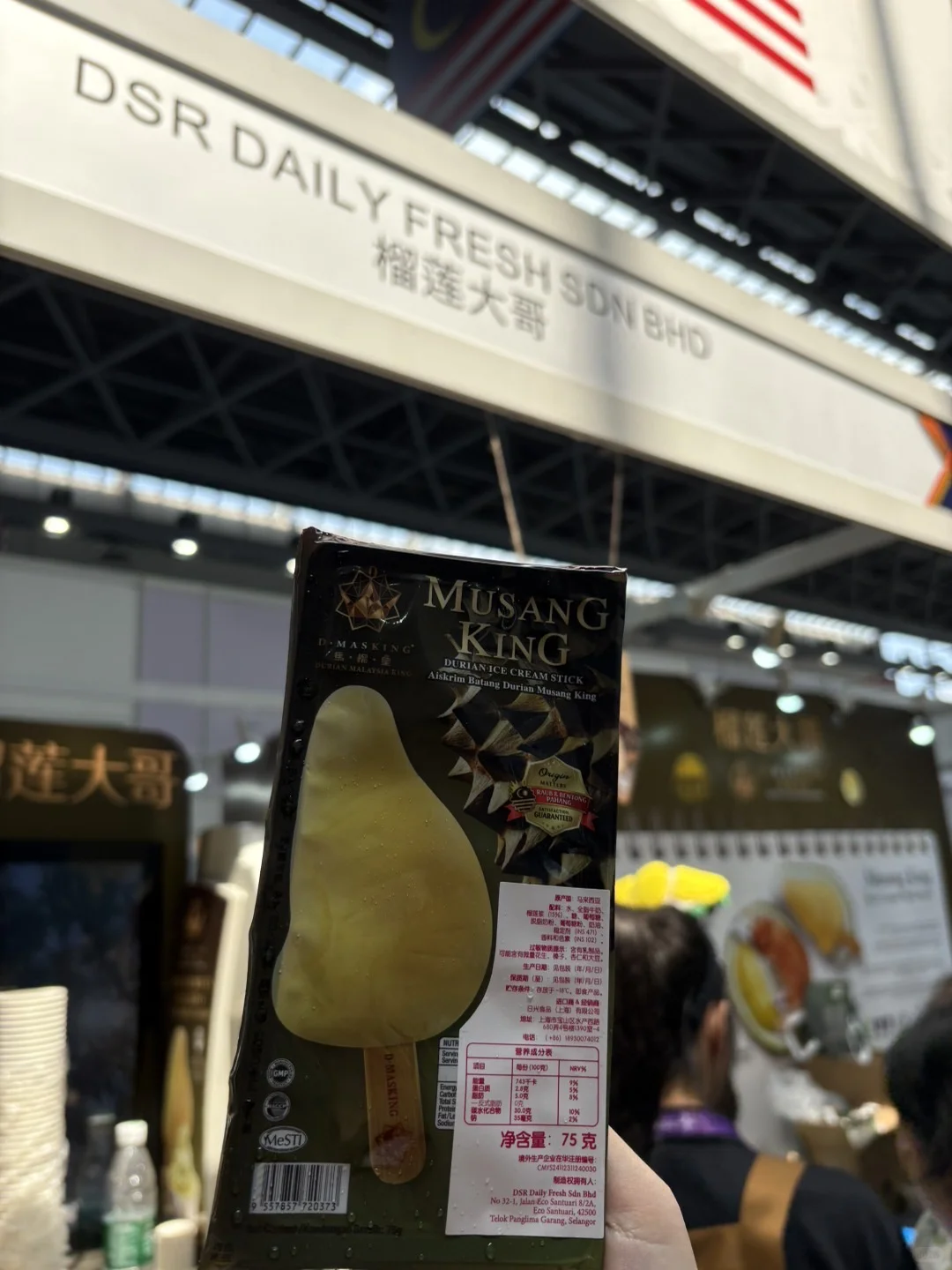 2025年东盟博览会