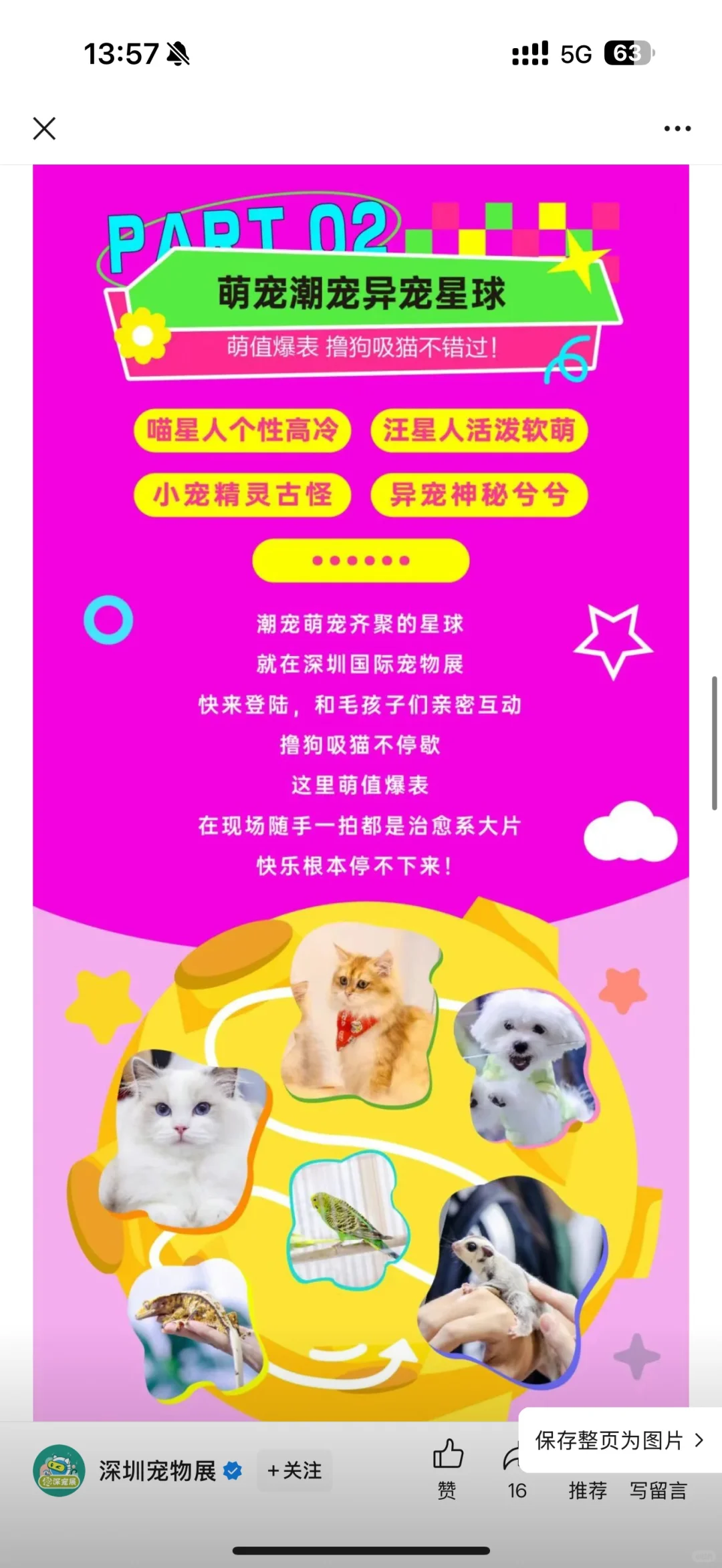 2025深宠展专业观众门票到手 详细攻略?