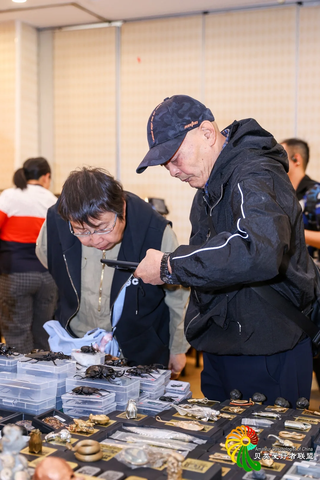 终于等到你～十一假期 国际贝展空降北京