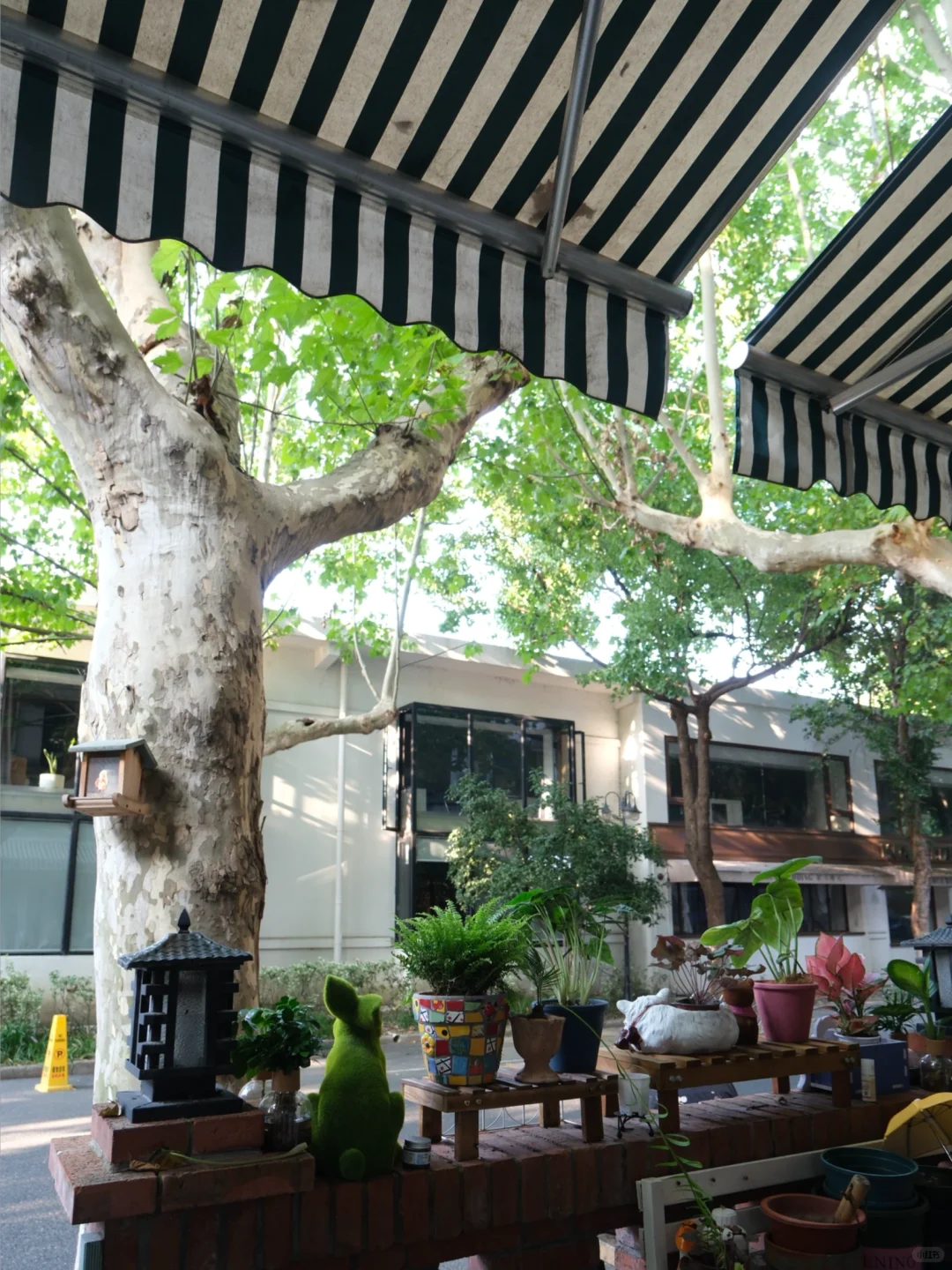 杭州|1️⃣场新展+6️⃣处空间 小众园区有妙趣