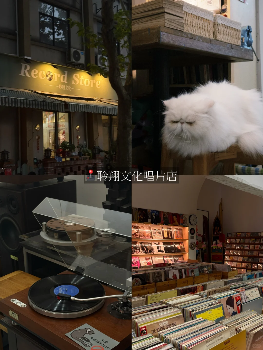 杭州|1️⃣场新展+6️⃣处空间 小众园区有妙趣