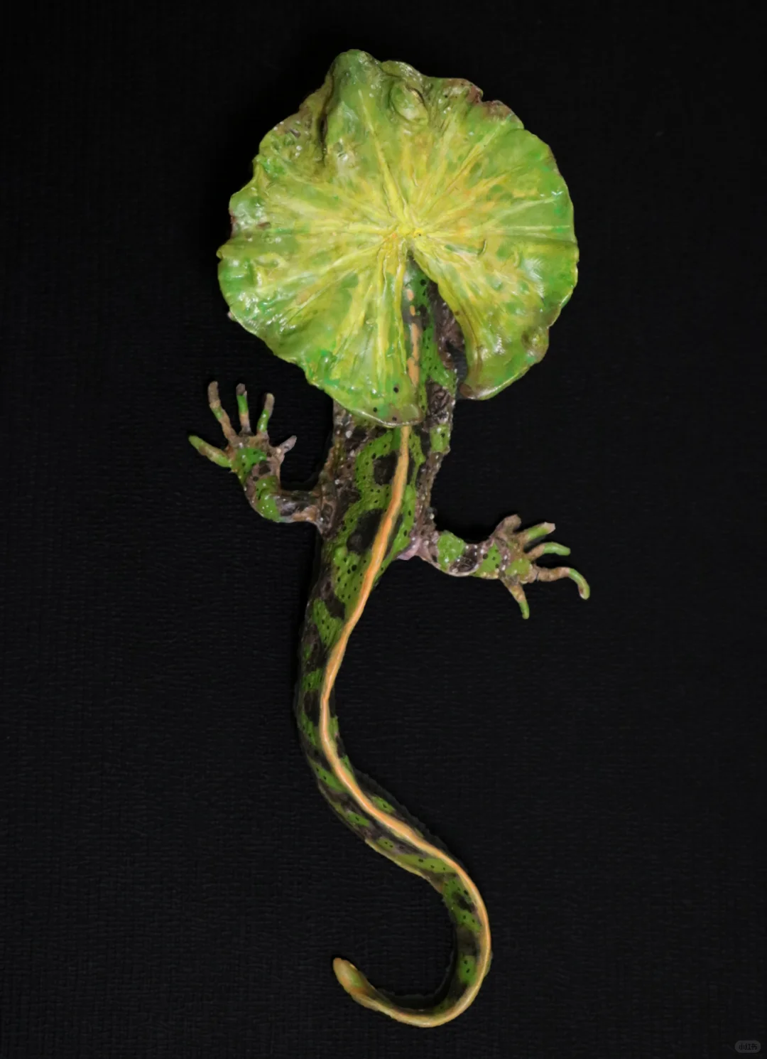 上海WF.懿晏摊位一览！