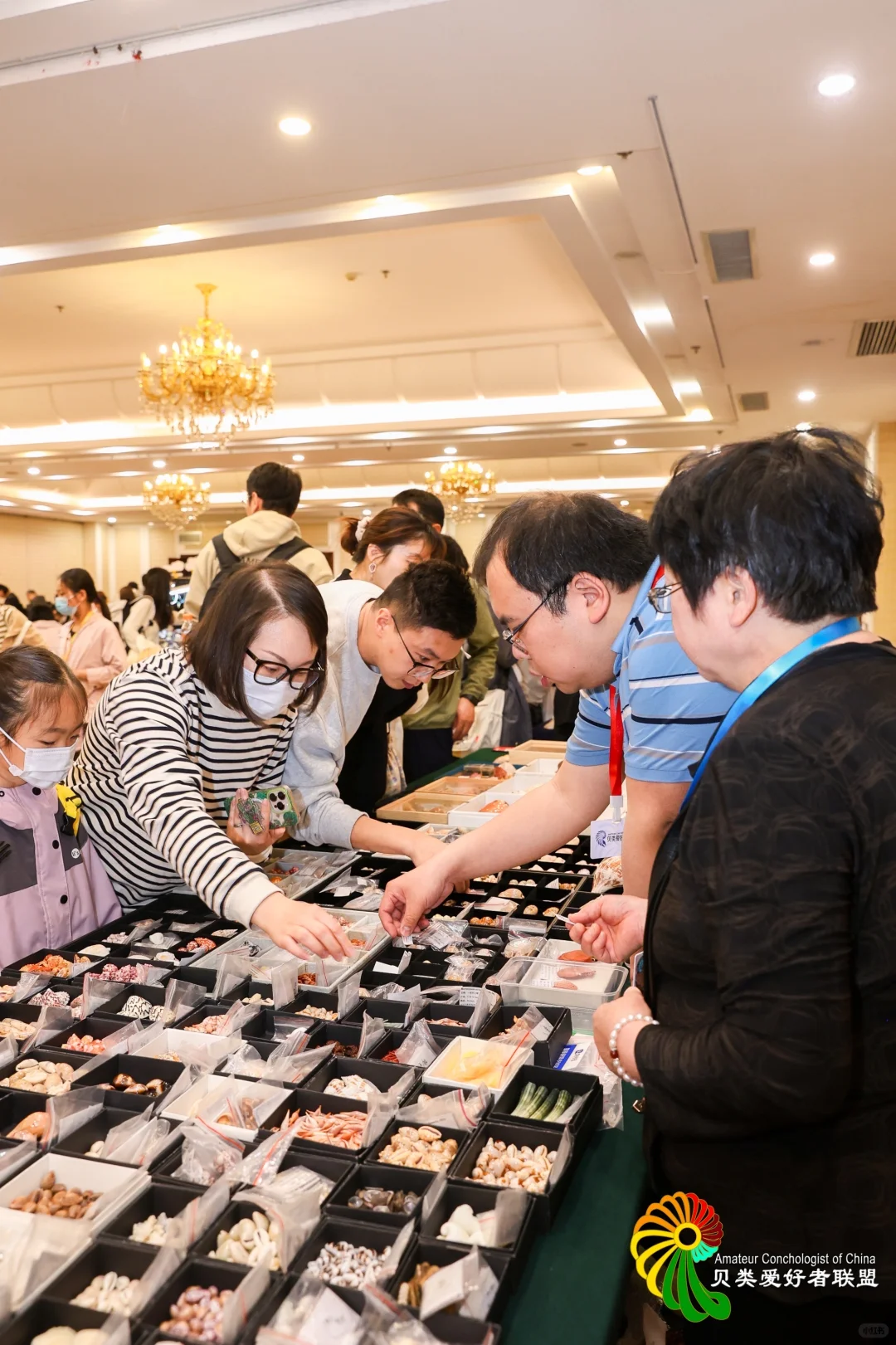 终于等到你～十一假期 国际贝展空降北京