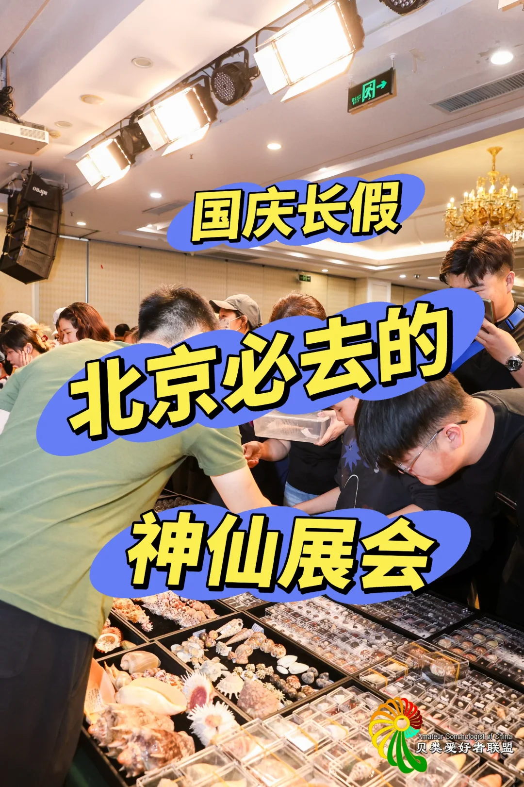 终于等到你～十一假期 国际贝展空降北京