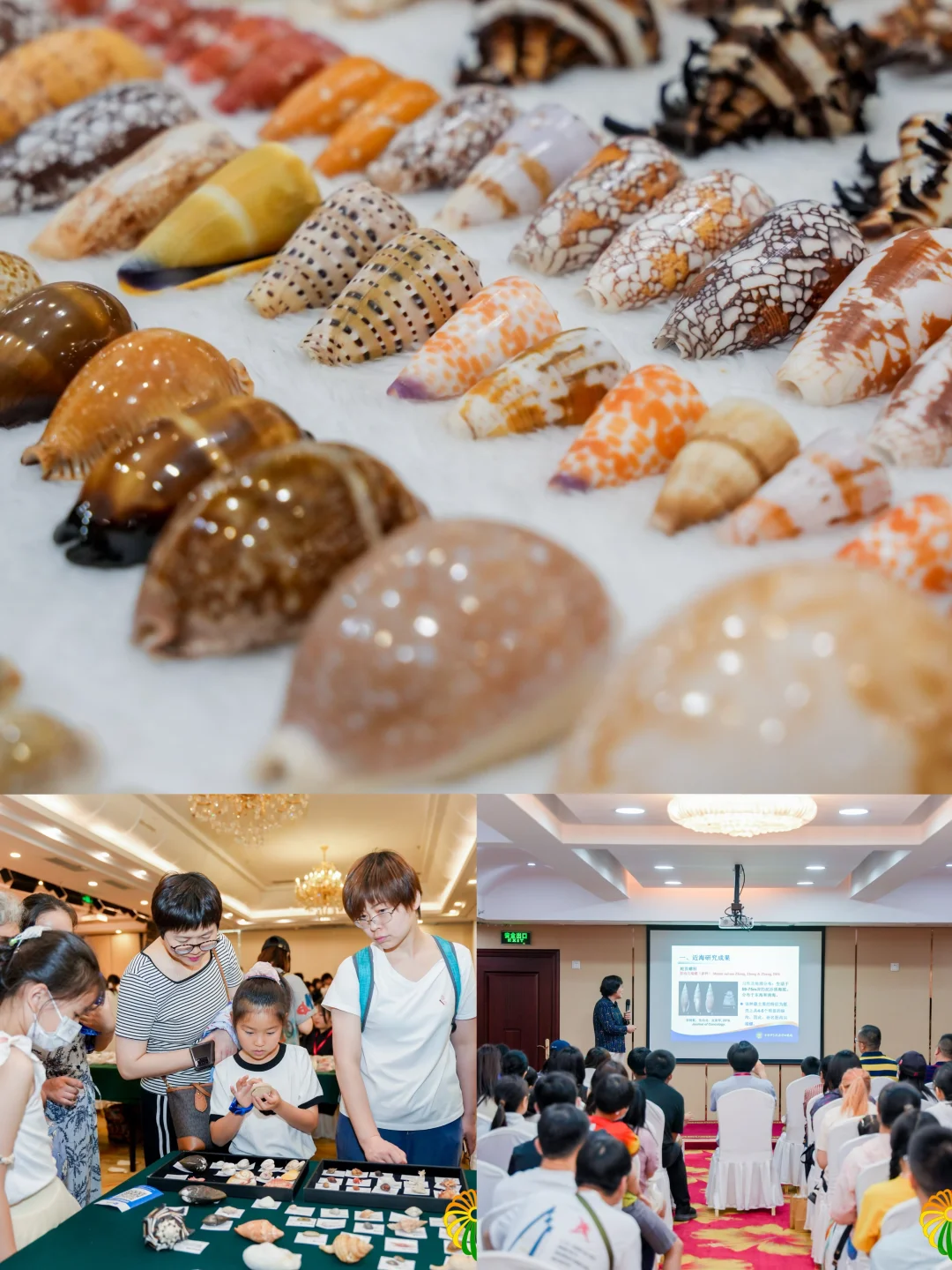 （北京）10月超好逛！贝壳主题市集来了！?