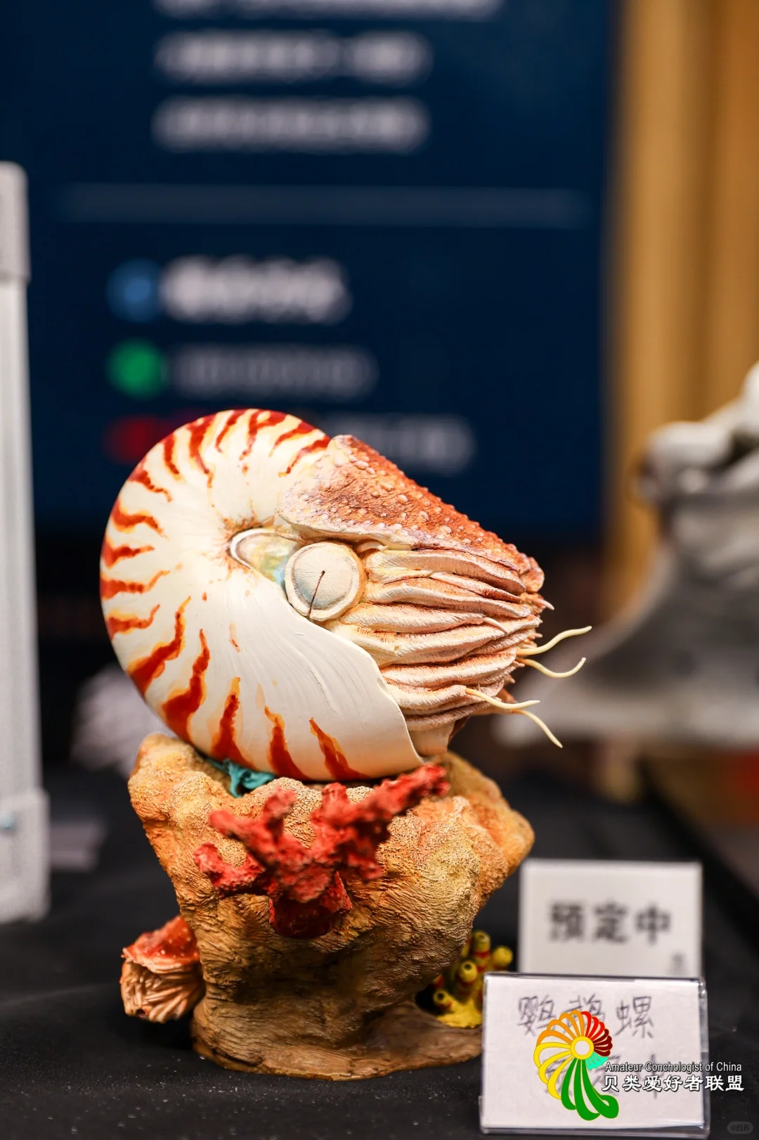 终于等到你～十一假期 国际贝展空降北京