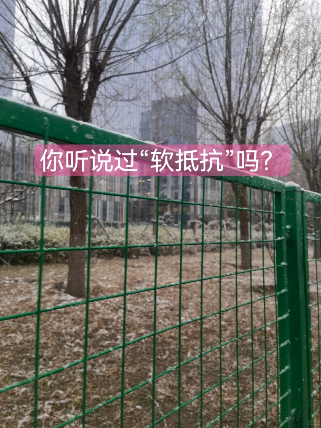 你听说过“软抵抗”吗?