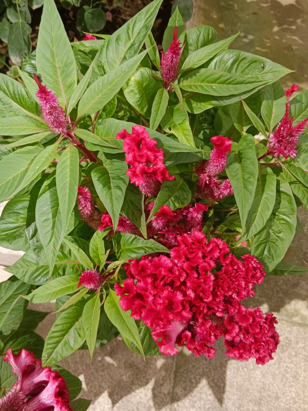 50岁单身，还能被喜欢吗？