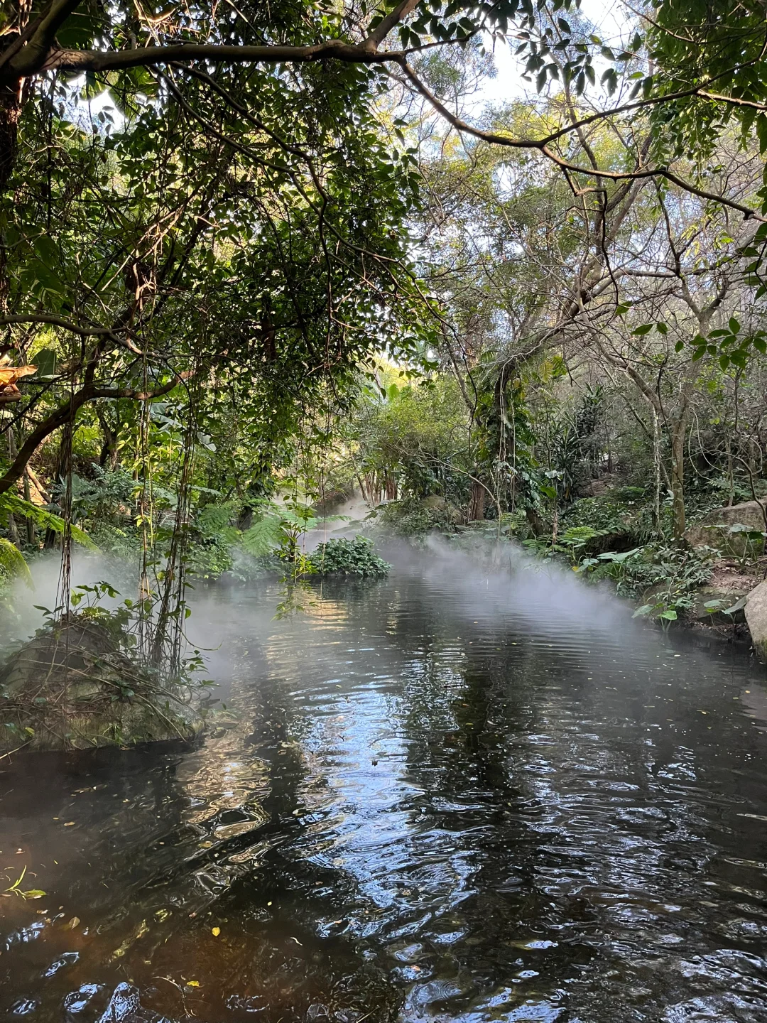 答应我！来厦门一定要坐游轮哦～