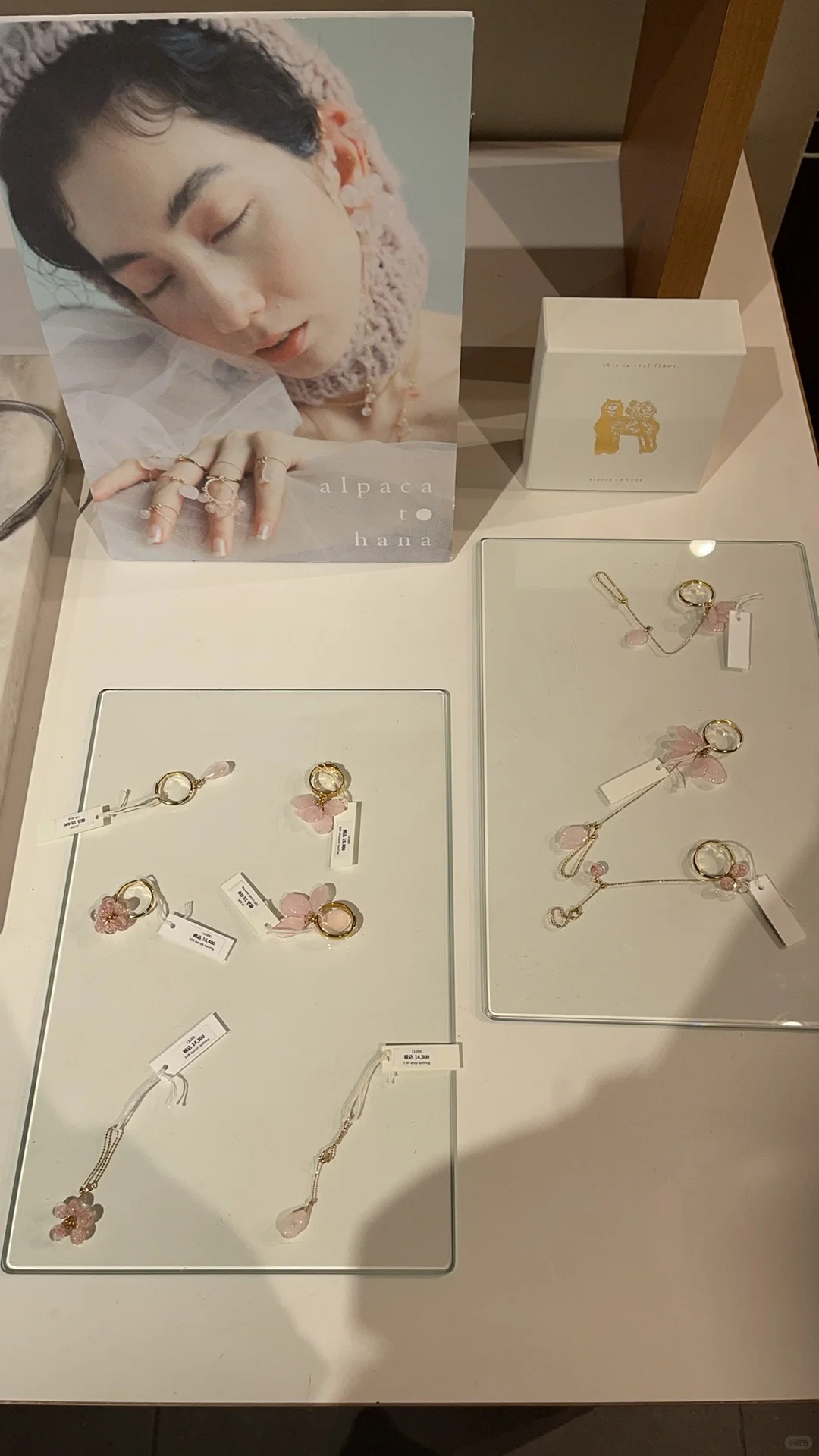 ?仙死我了！alpaca to hana最新款