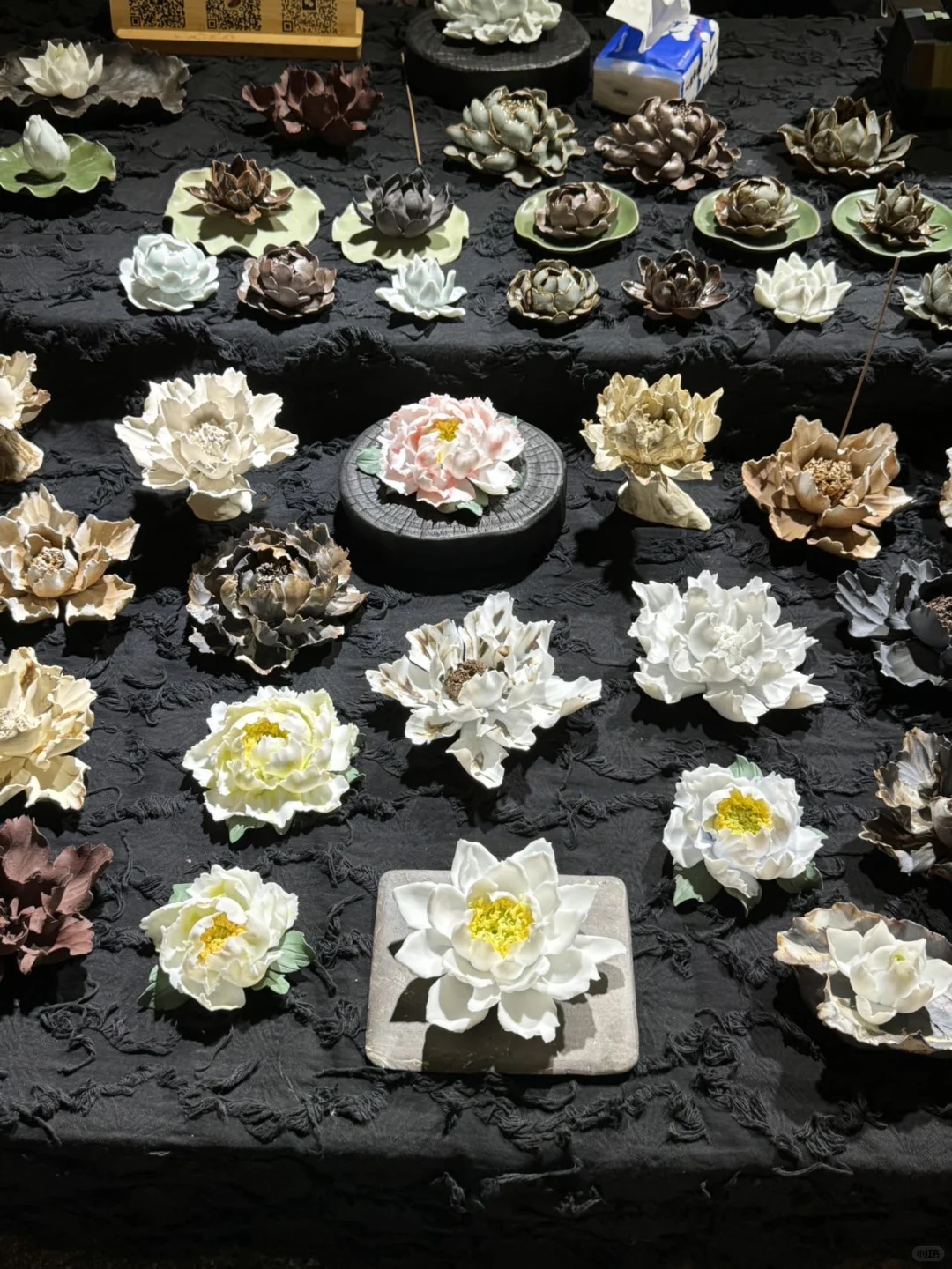 北京文玩人集合！2025全国文玩大会来了！！