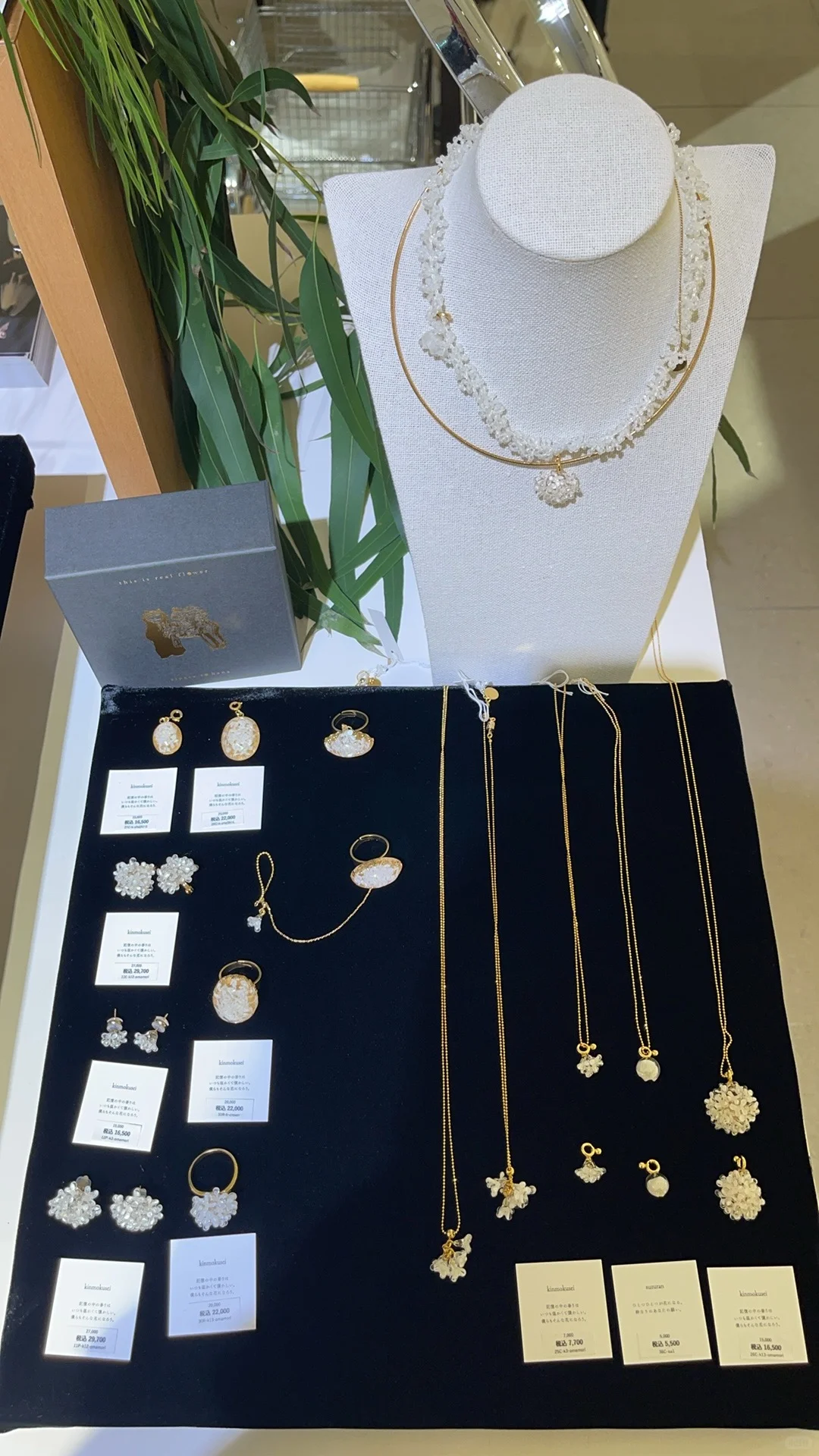 ?仙死我了！alpaca to hana最新款