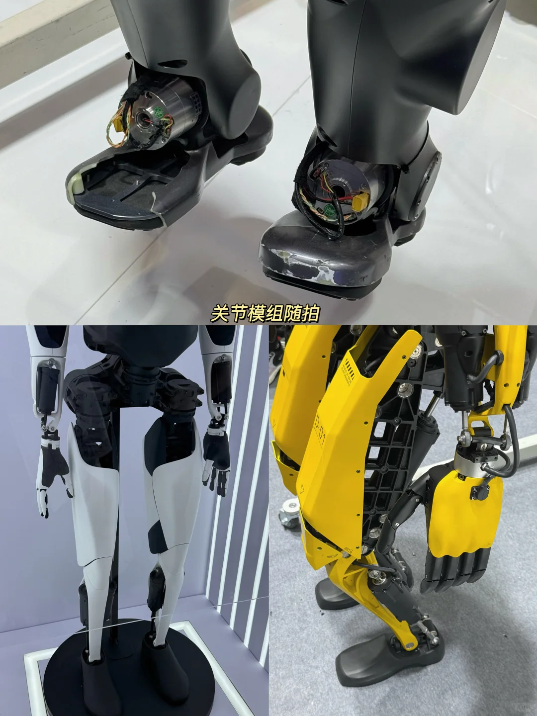 2025上海工博会攻略| 机器人能不能帮我上班