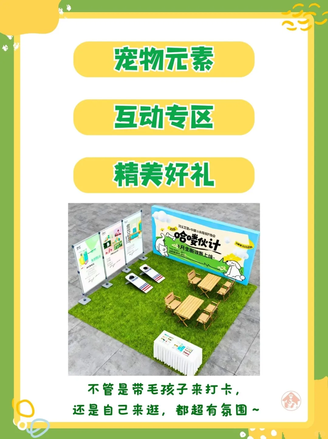 石家庄宠友集合!万宠展羊毛等你来薅!!