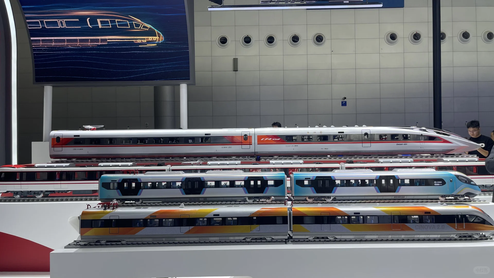 全世界的人都来了吧