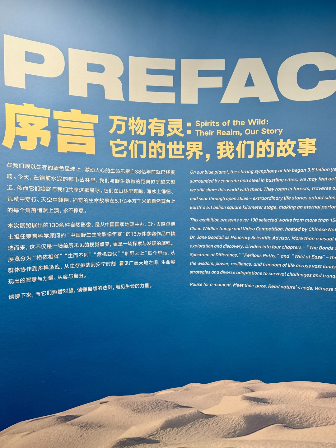 南京看展|走进国家地理的野生动物世界