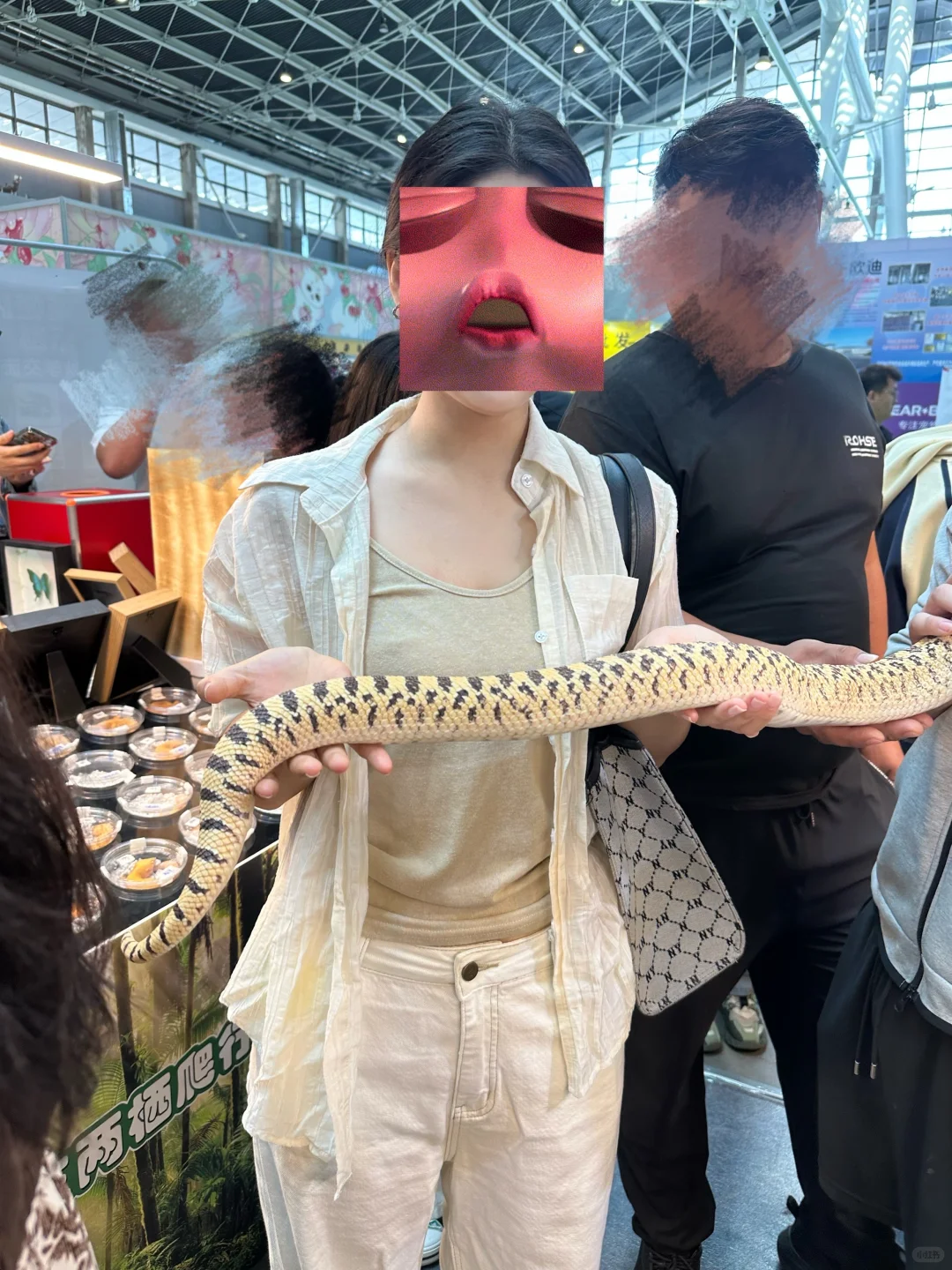 石家庄宠物博览会