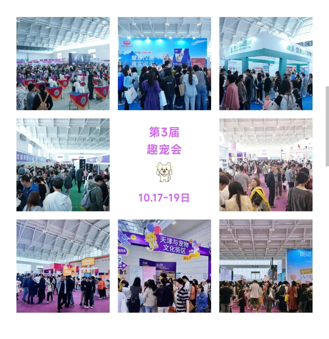 2025天津趣宠会门票?20元一张?