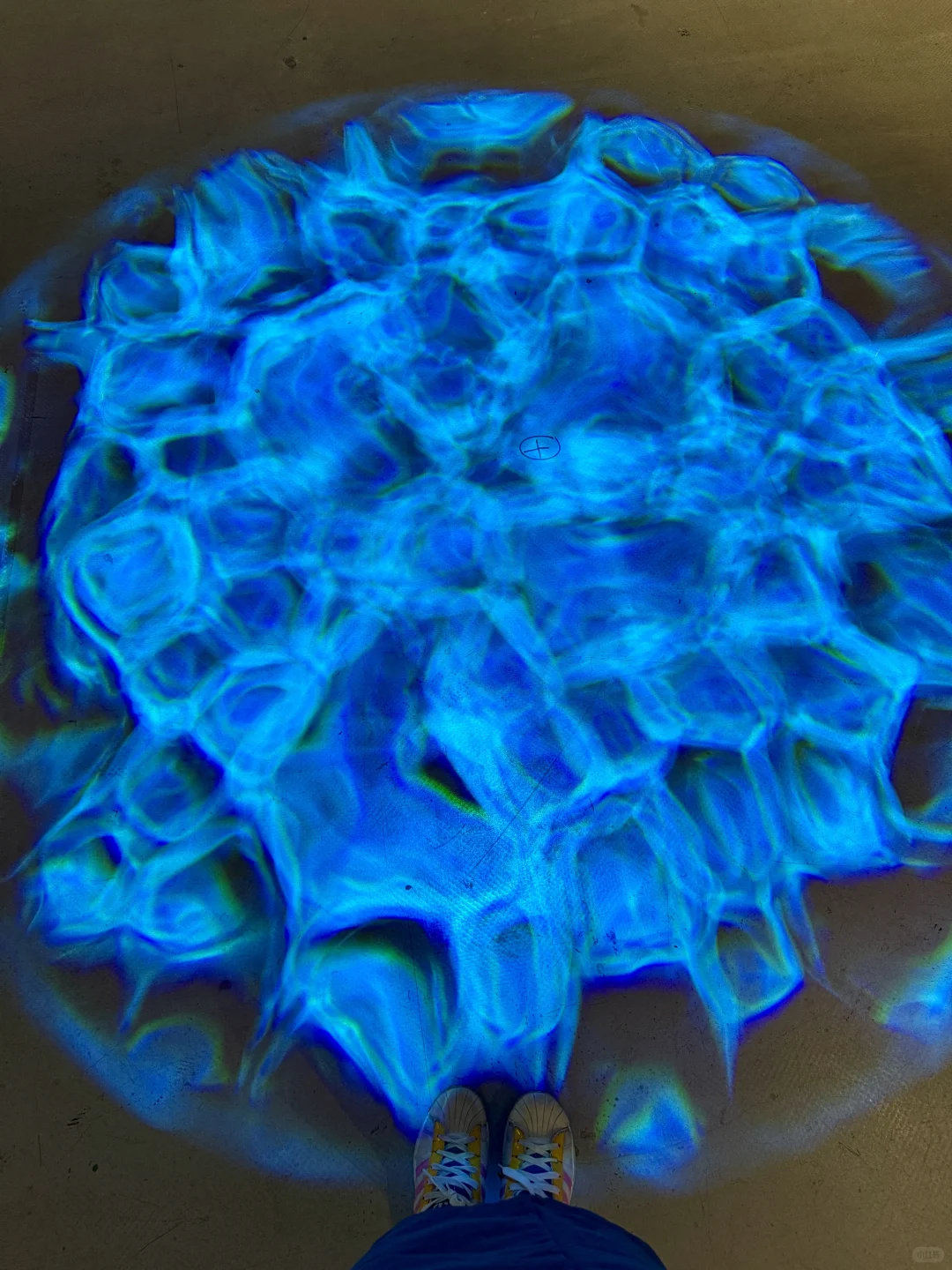 南京看展|走进国家地理的野生动物世界