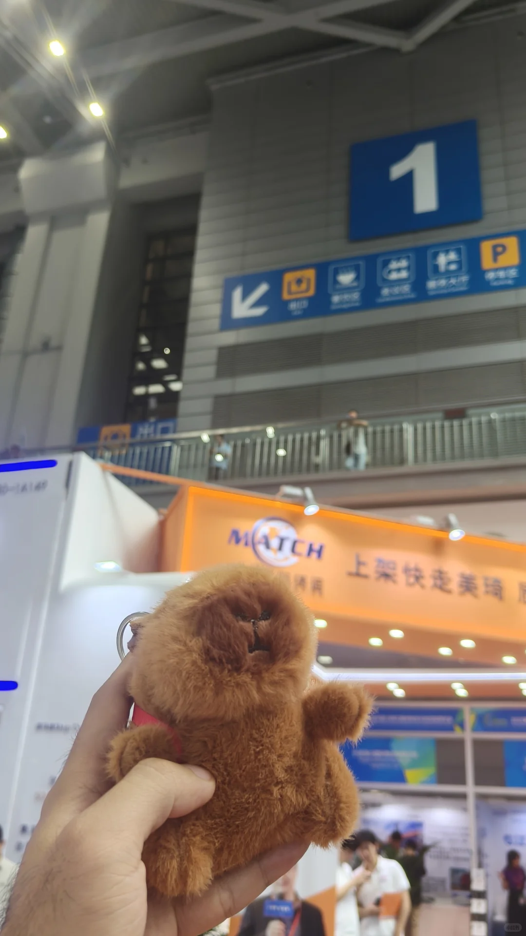 深圳的朋友们注意啦⚠️好多羊毛啊！