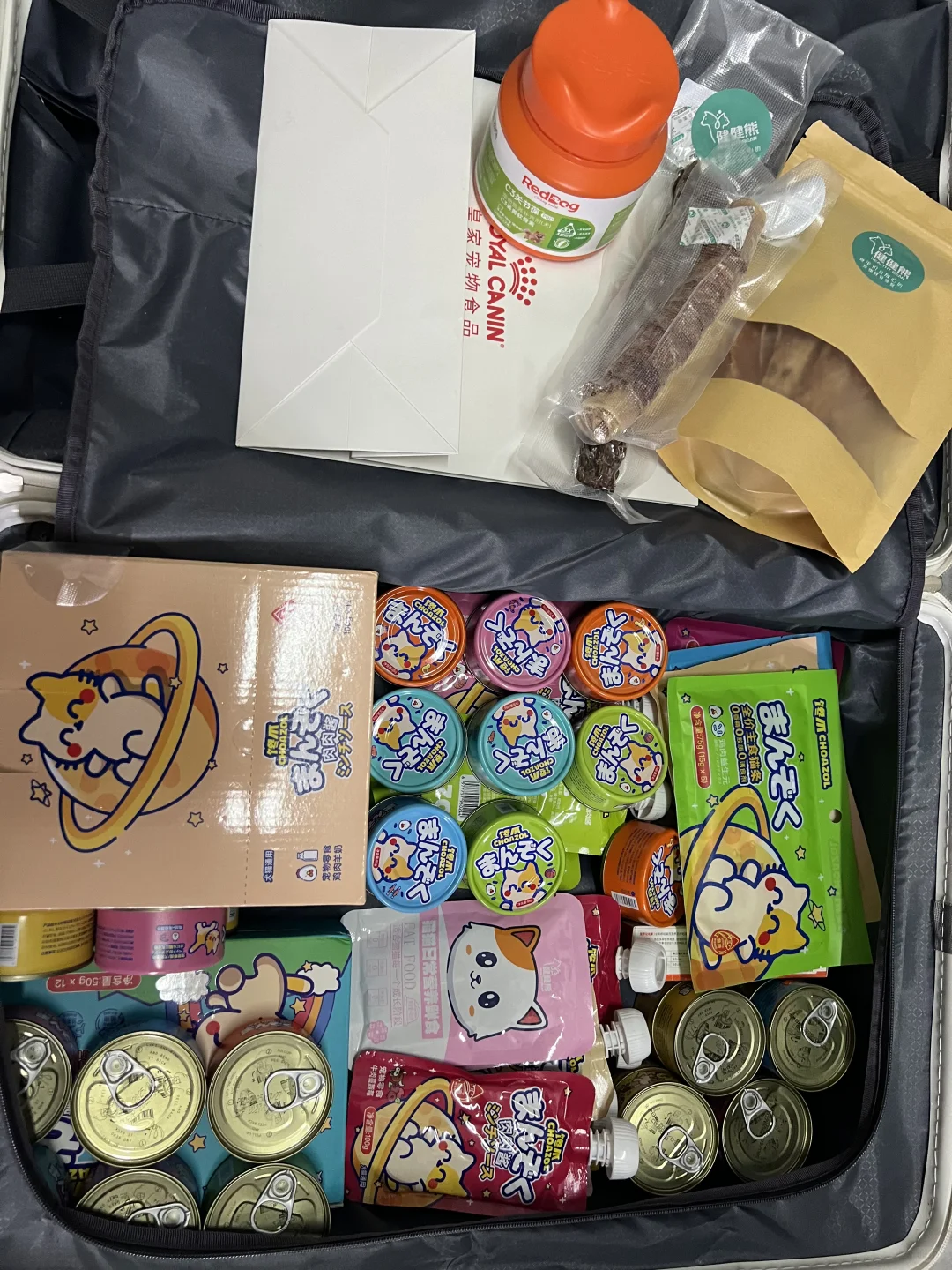 石家庄宠物博览会