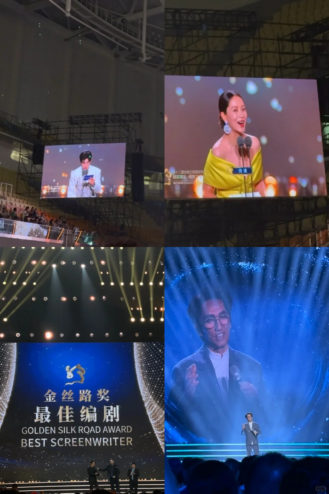 各类渠道速通电影节|普通大学生攻略指南