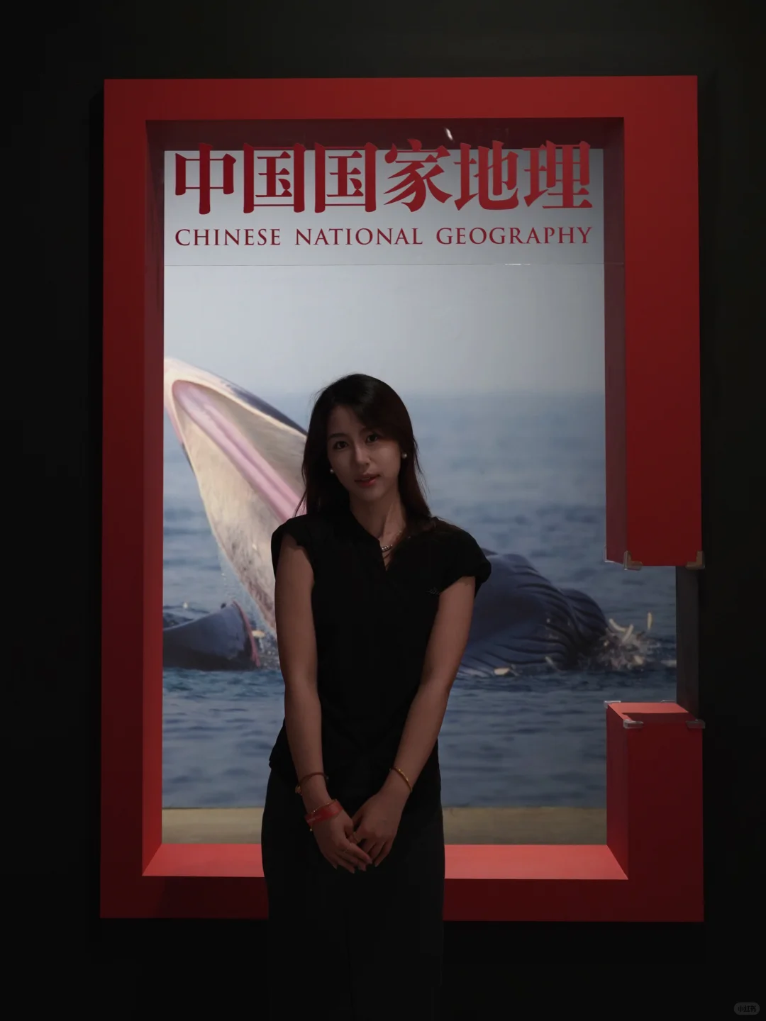 南京看展|走进国家地理的野生动物世界