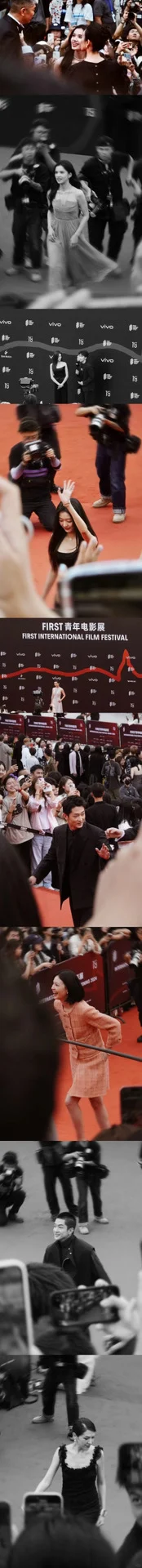 各类渠道速通电影节|普通大学生攻略指南