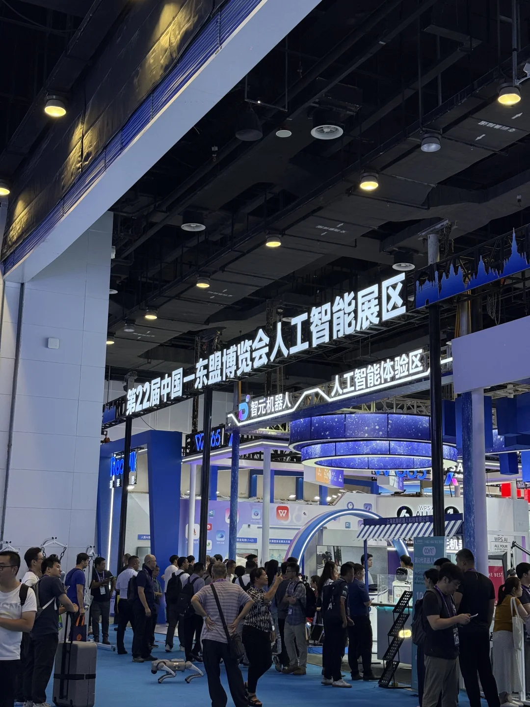 第一次参加东盟博览会 继续期待明年