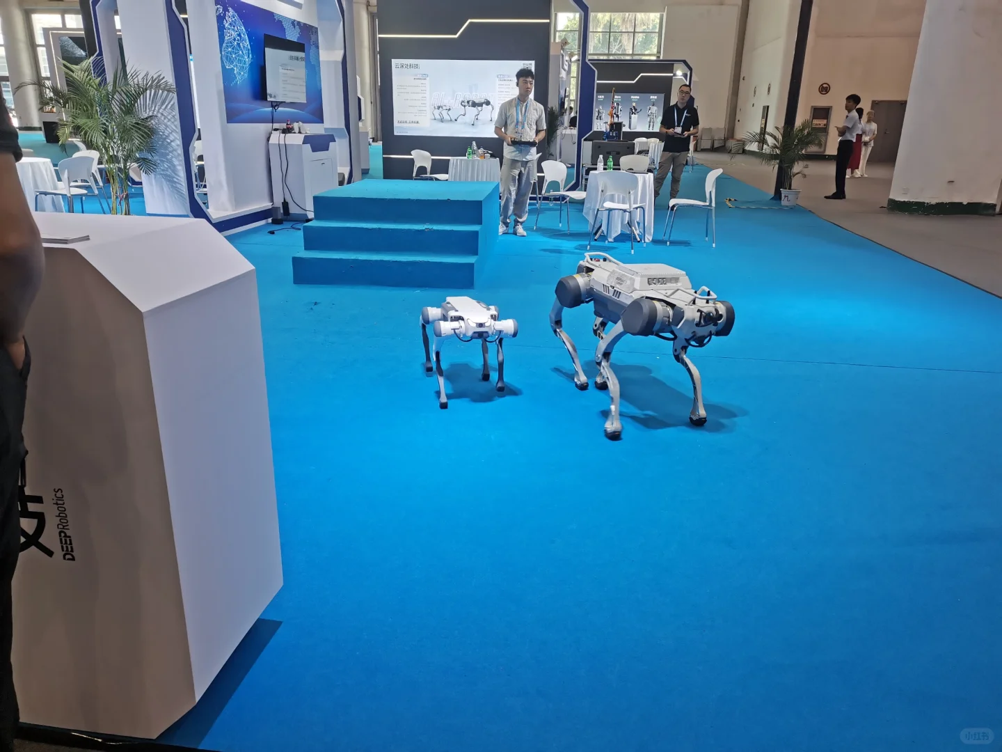 厦门投洽会结束啦！很开心的一次经历