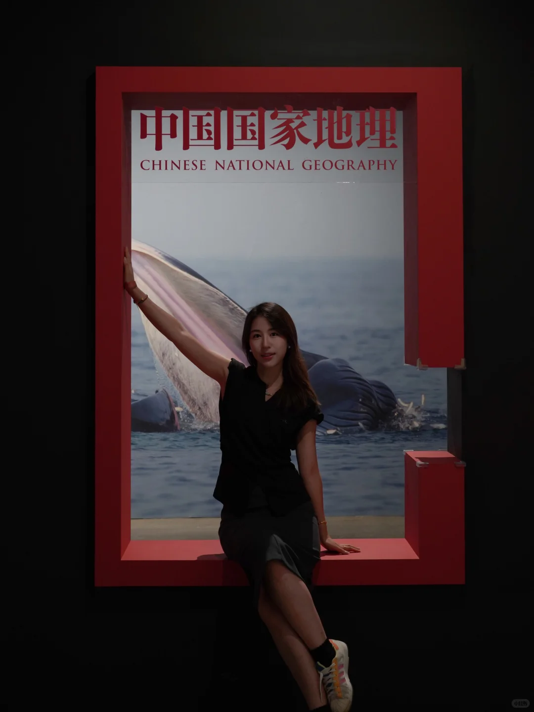 南京看展|走进国家地理的野生动物世界