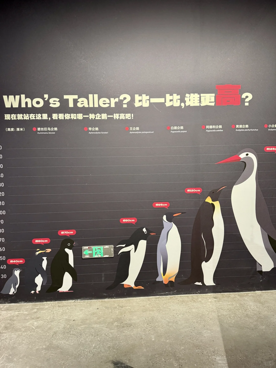 南京看展|走进国家地理的野生动物世界