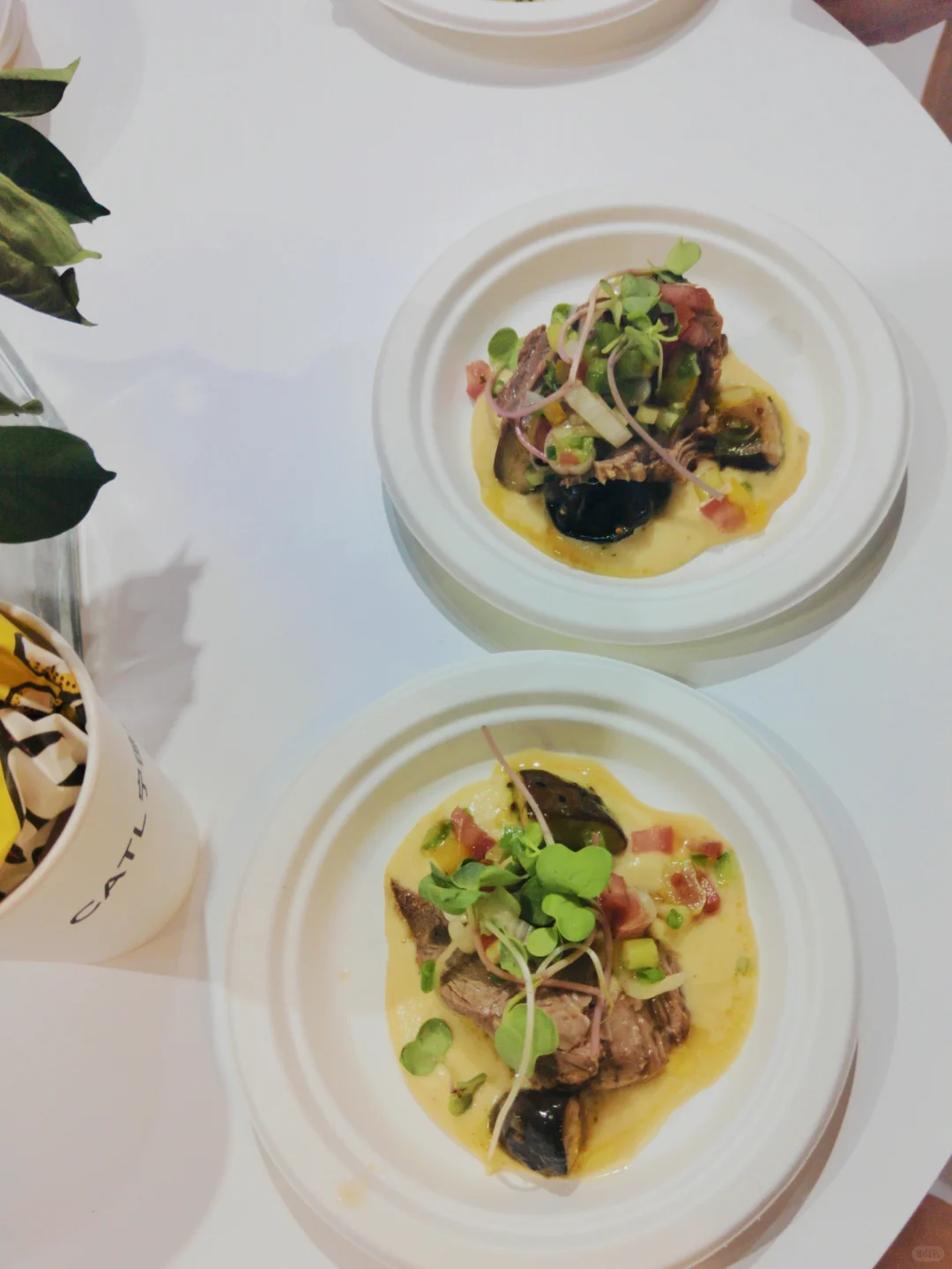 厦门投洽会结束啦！很开心的一次经历