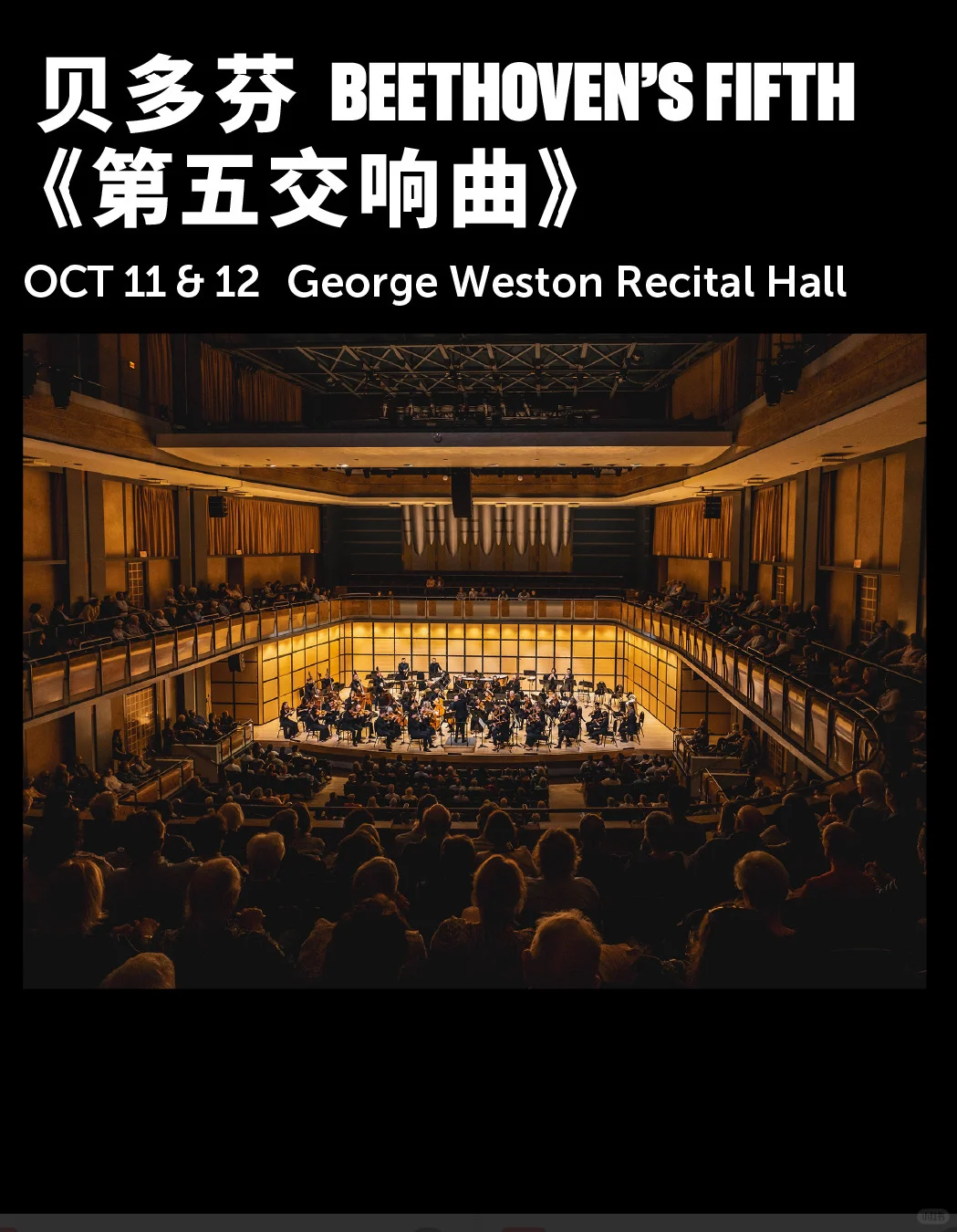 30刀一场音乐会！多伦多交响乐团购票指南?