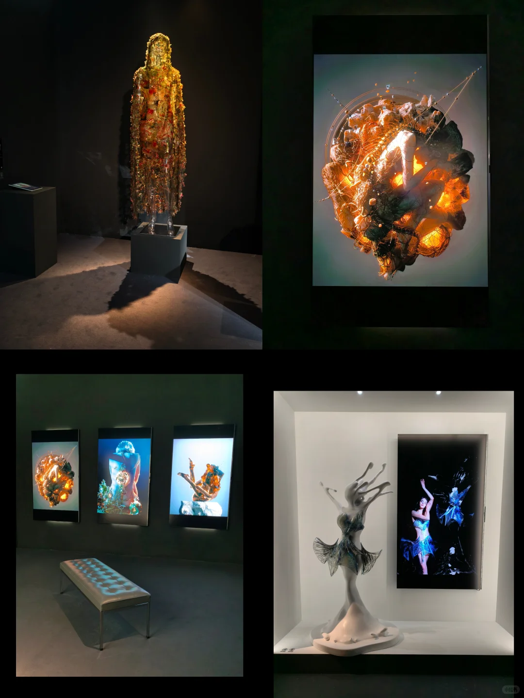 小红书设计周 | 日常开放· Daily Open