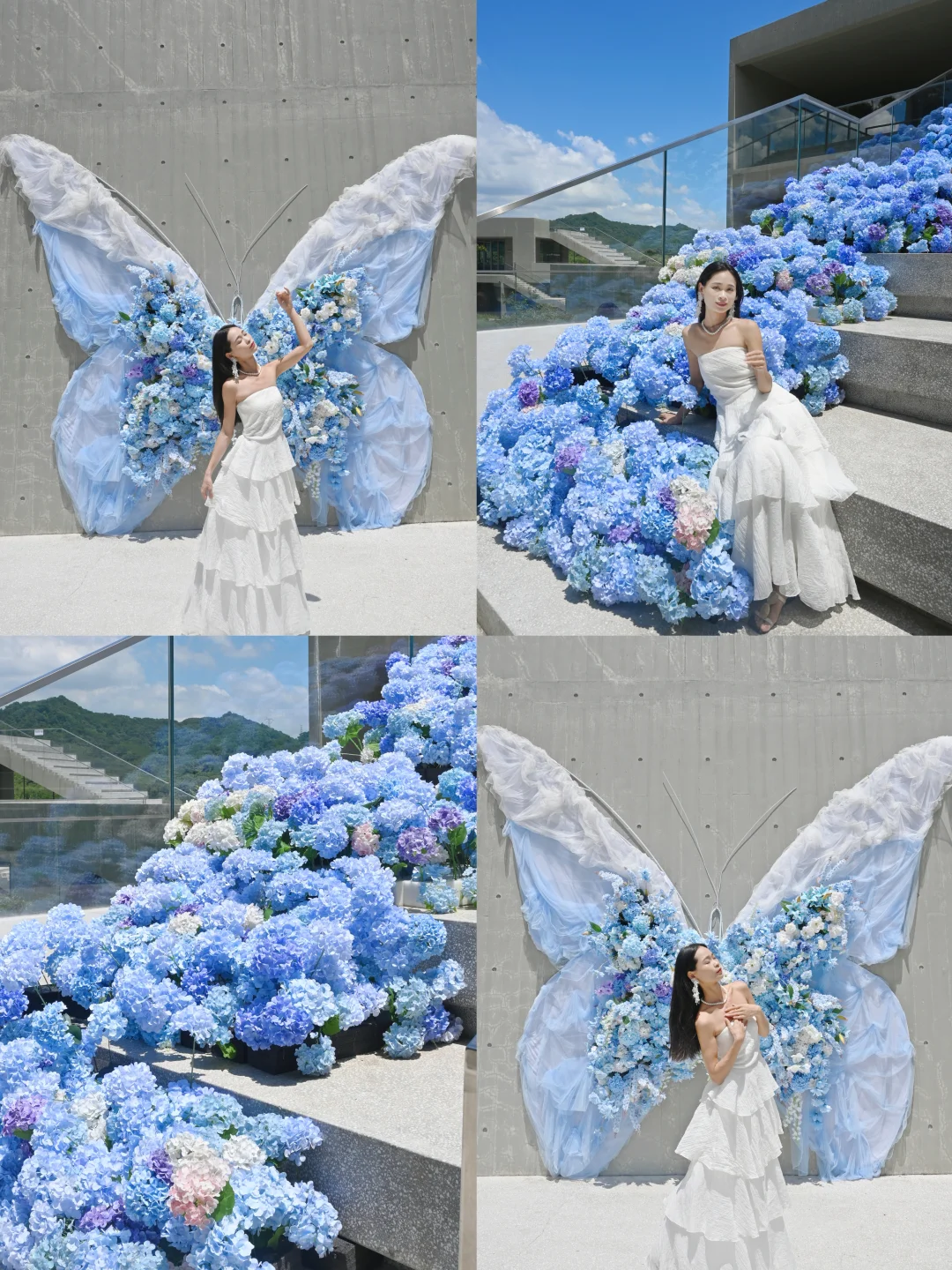 深圳免费新展|拍照绝美的蝴蝶?艺术展!