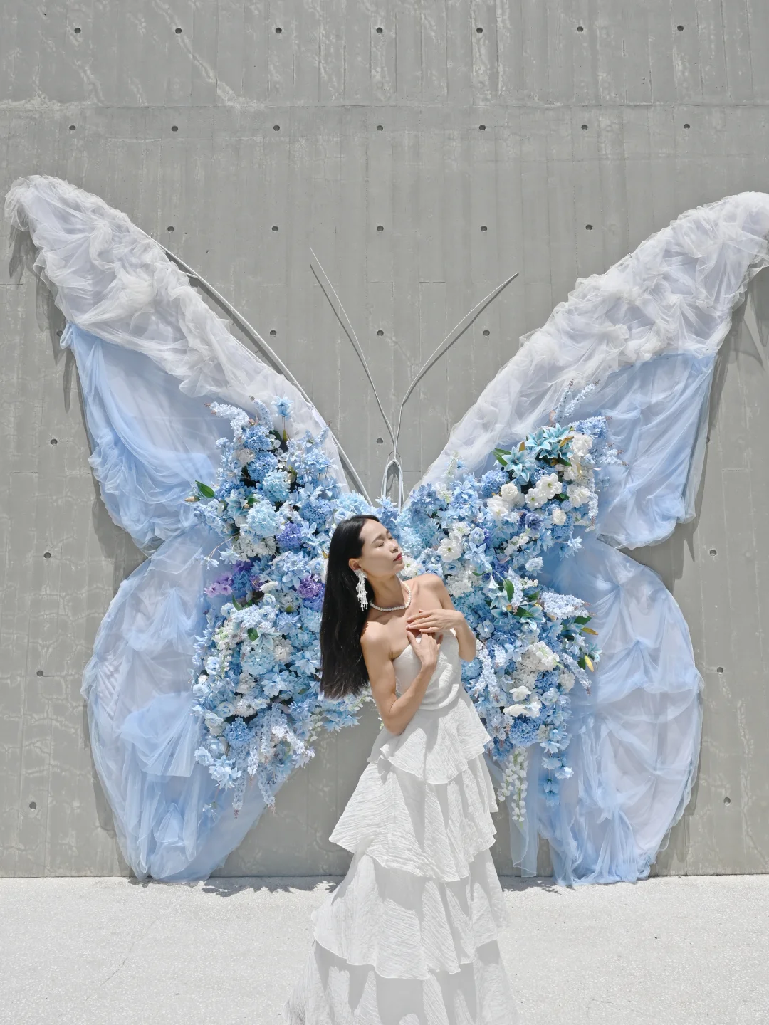 深圳免费新展|拍照绝美的蝴蝶?艺术展!