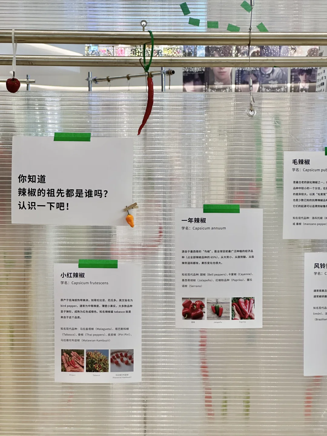 重庆真的不缺有意思的展。。。