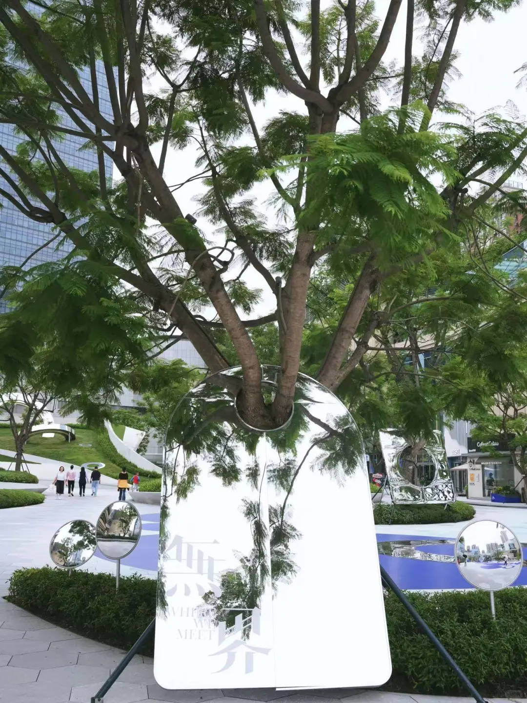 镜中无界，东方灵韵漫游 