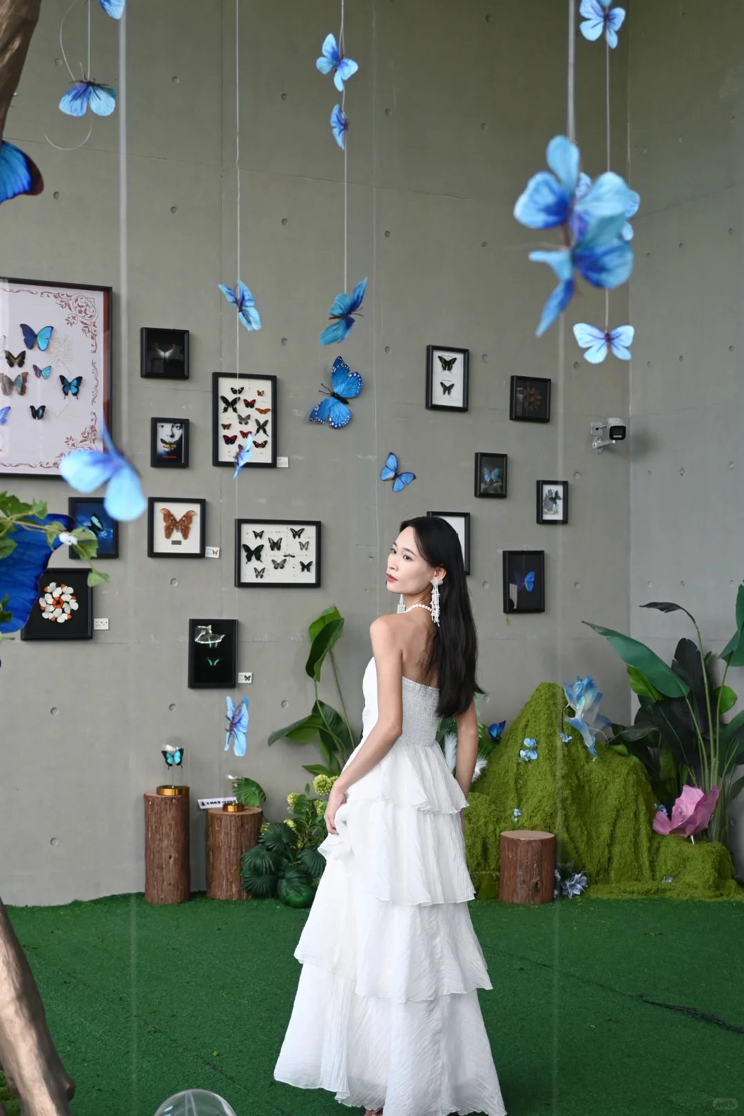 深圳免费新展|拍照绝美的蝴蝶?艺术展!