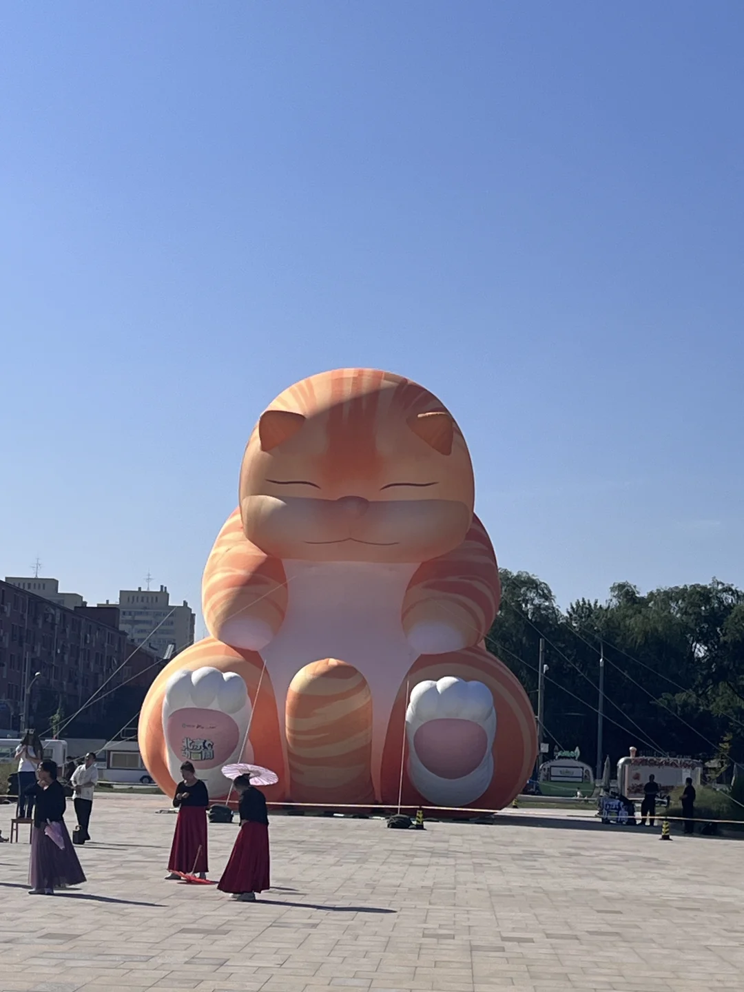 北京动画周今天开幕了