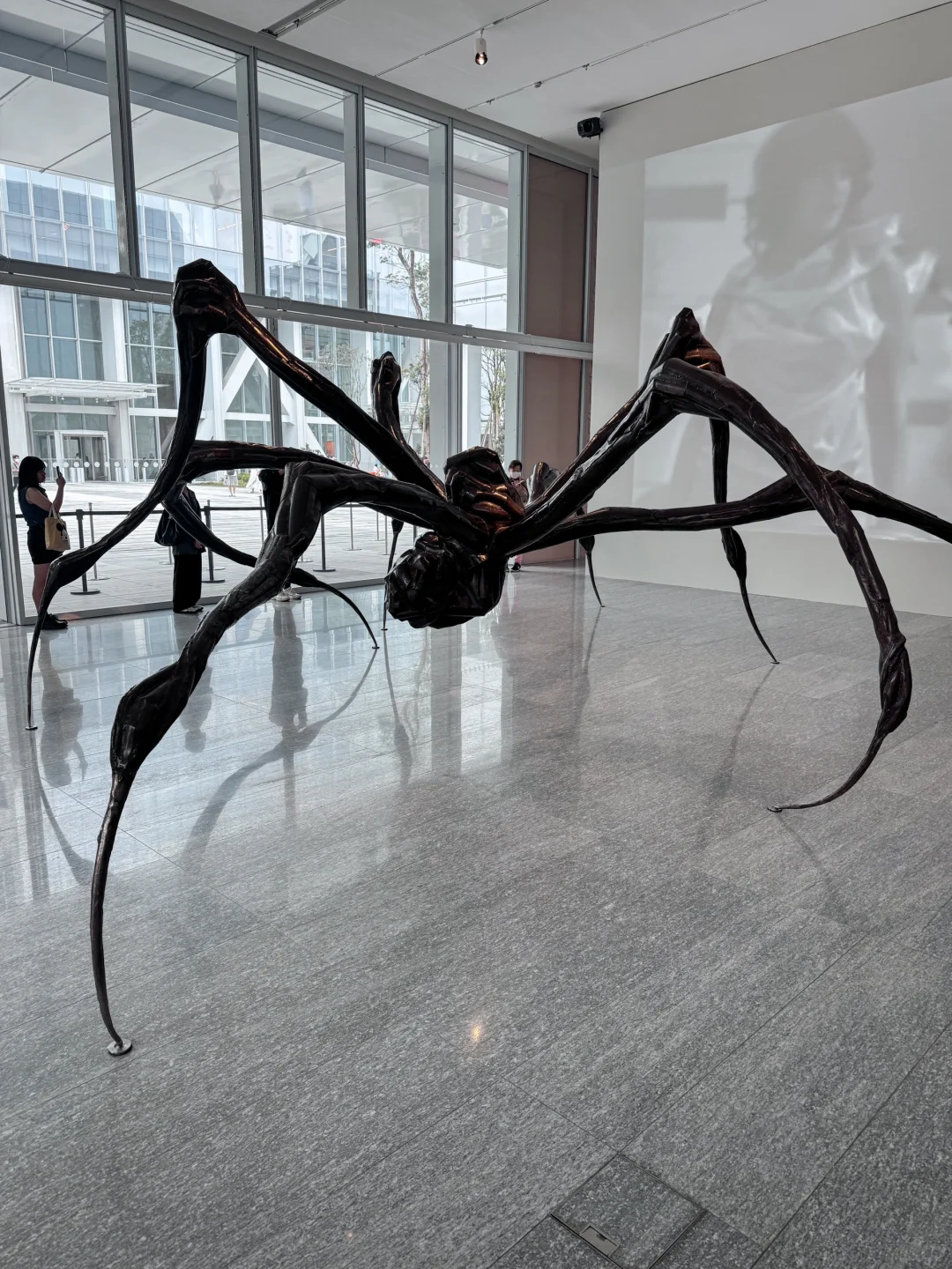 台北｜路易絲・布爾喬亞展?️《剛從地獄回來》