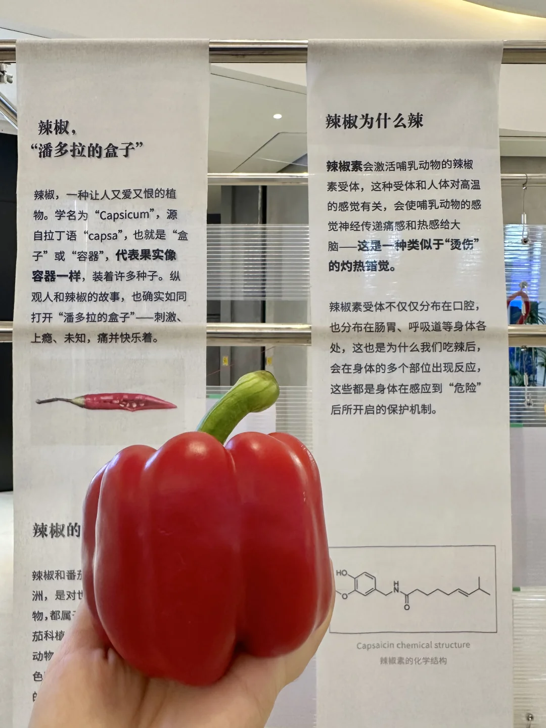 重庆真的不缺有意思的展。。。