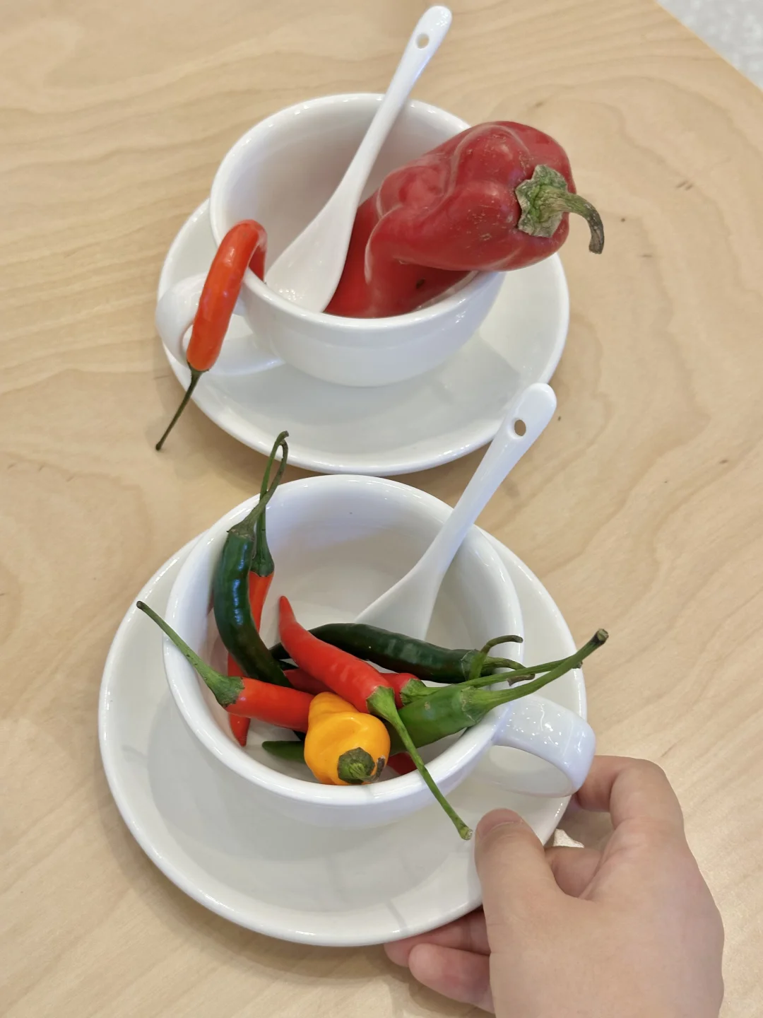 重庆真的不缺有意思的展。。。