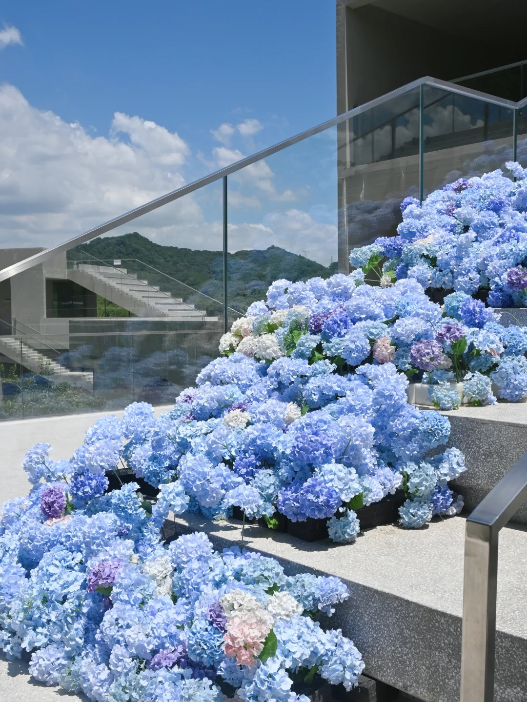 深圳免费新展|拍照绝美的蝴蝶?艺术展!