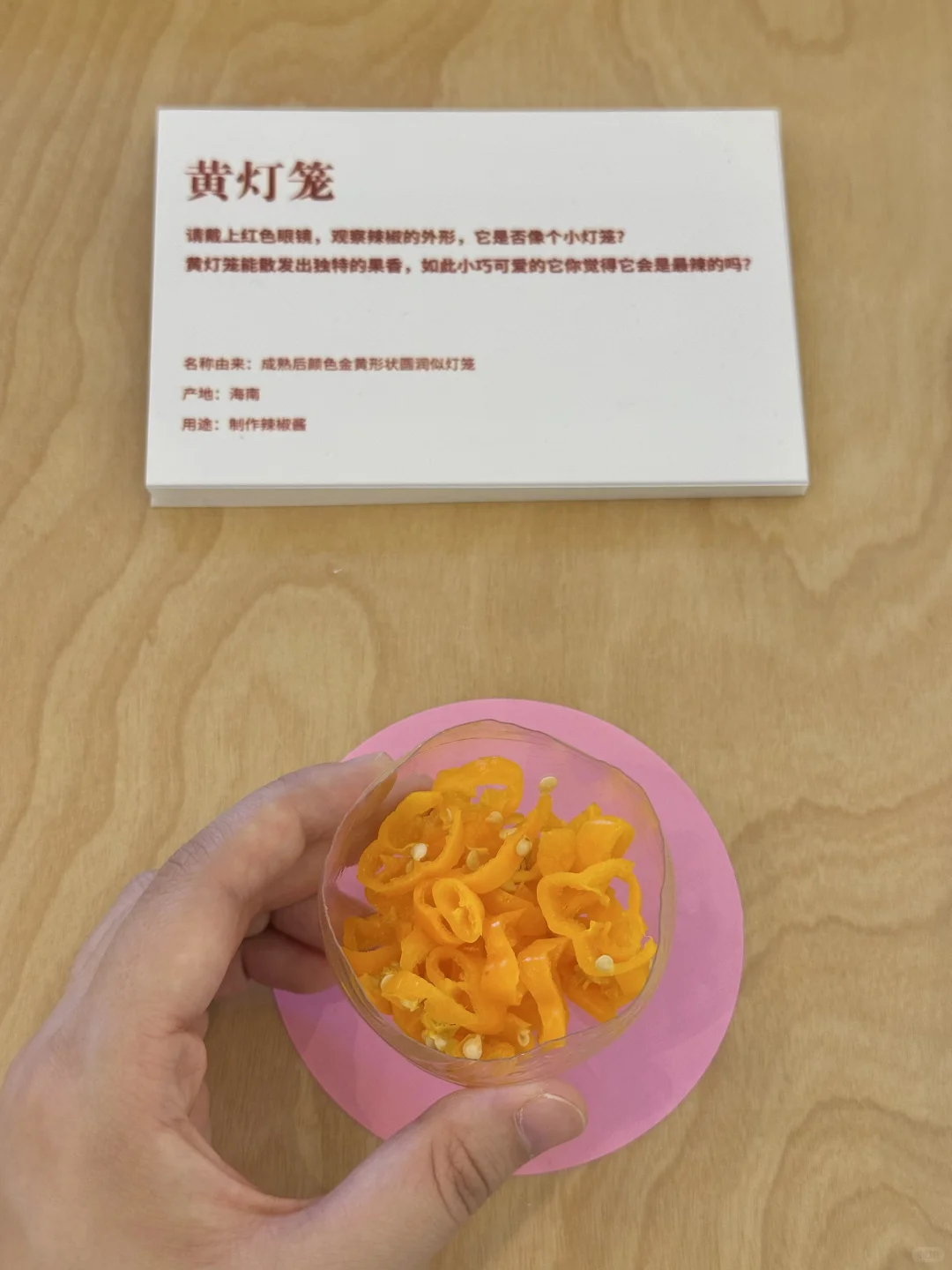 重庆真的不缺有意思的展。。。