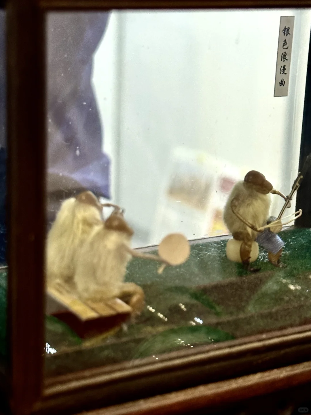 快去2025新乡首届进出口商品博览会